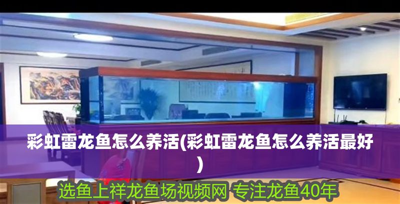 彩虹雷龍魚怎么養(yǎng)活(彩虹雷龍魚怎么養(yǎng)活最好)