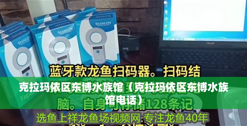 克拉瑪依區(qū)東博水族館（克拉瑪依區(qū)東博水族館電話）
