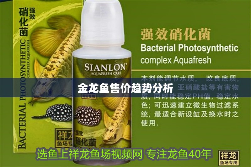 金龍魚售價趨勢分析