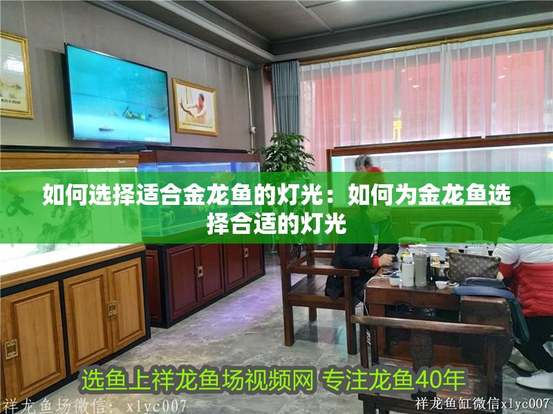 如何選擇適合金龍魚的燈光：如何為金龍魚選擇合適的燈光