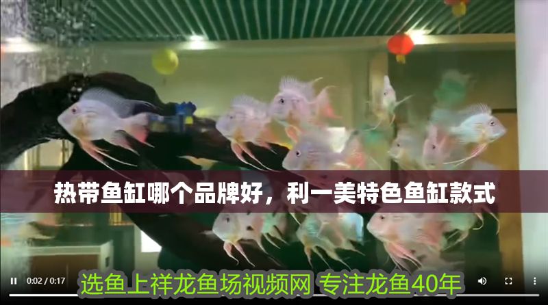 熱帶魚缸哪個品牌好，利一美特色魚缸款式 熱帶魚缸哪個品牌好，利一美特色魚缸款式 魚缸百科 第6張