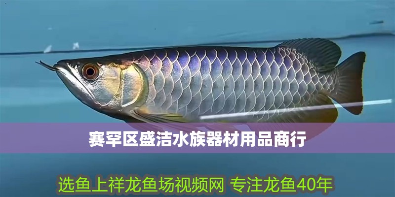 賽罕區盛潔水族器材用品商行