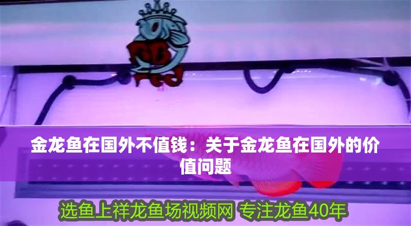 金龍魚在國外不值錢：關于金龍魚在國外的價值問題