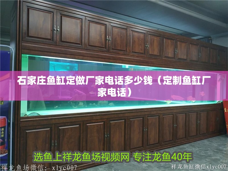 石家莊魚缸定做廠家電話多少錢（定制魚缸廠家電話）