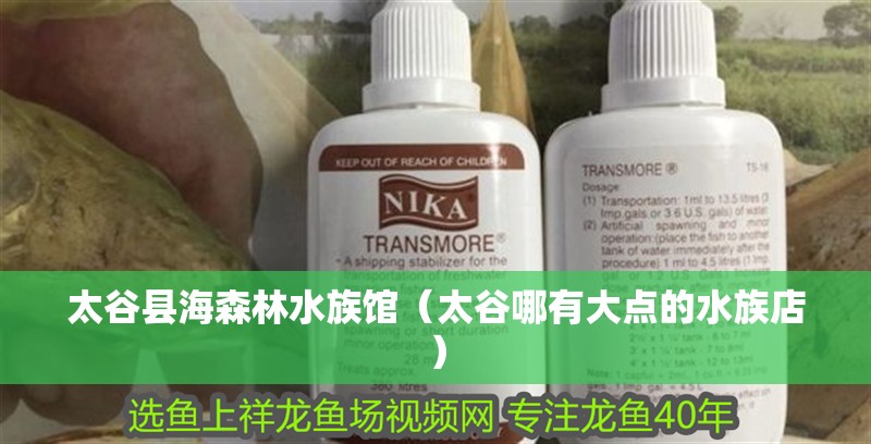 太谷縣海森林水族館（太谷哪有大點的水族店）