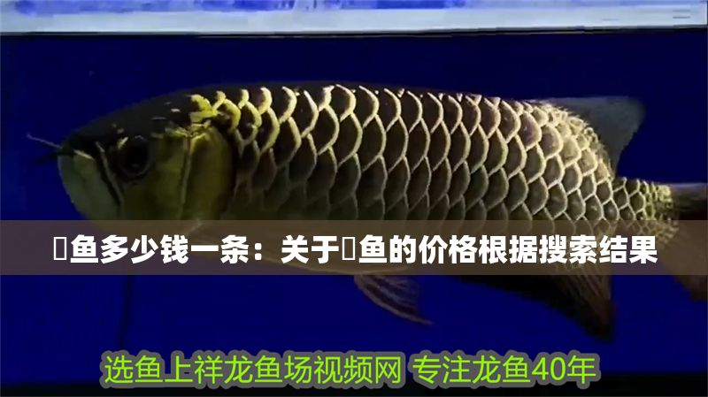 魟魚多少錢一條：關于魟魚的價格根據搜索結果
