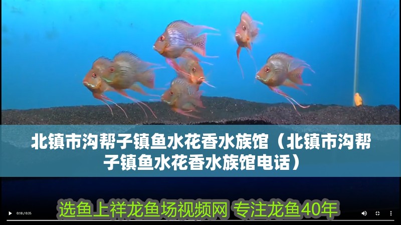 北鎮市溝幫子鎮魚水花香水族館（北鎮市溝幫子鎮魚水花香水族館電話）