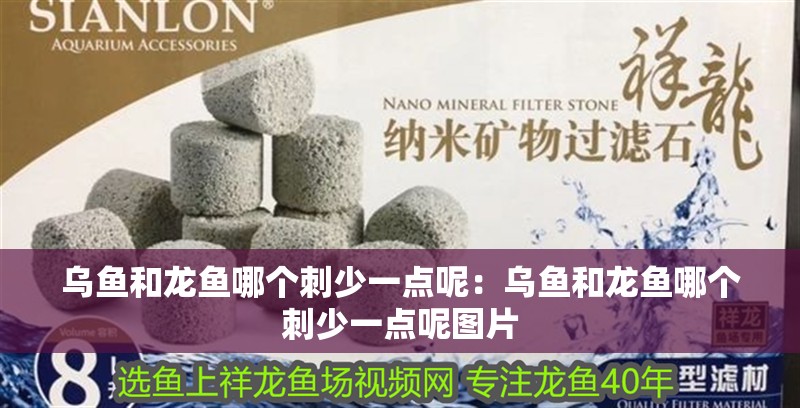 烏魚和龍魚哪個刺少一點呢：烏魚和龍魚哪個刺少一點呢圖片