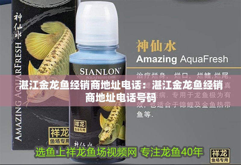 湛江金龍魚經銷商地址電話：湛江金龍魚經銷商地址電話號碼