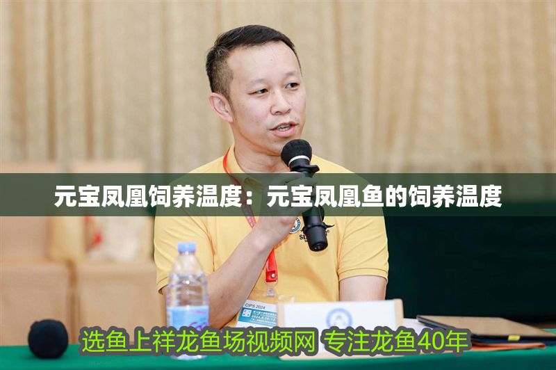 元寶鳳凰飼養溫度：元寶鳳凰魚的飼養溫度