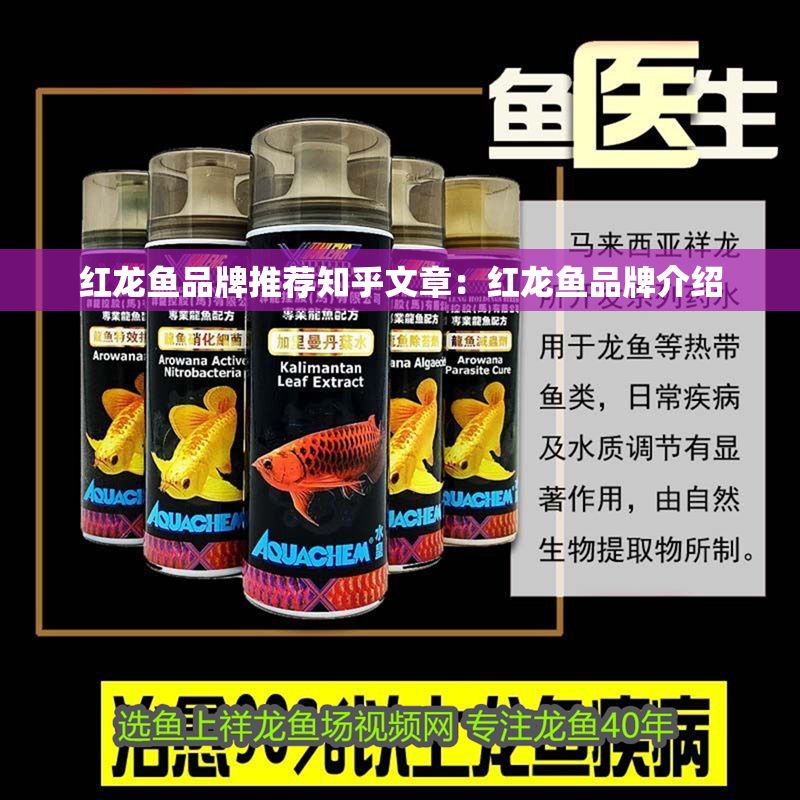 紅龍魚品牌推薦知乎文章：紅龍魚品牌介紹