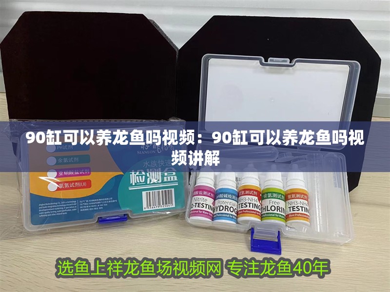 90缸可以養龍魚嗎視頻：90缸可以養龍魚嗎視頻講解