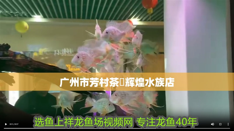 廣州市芳村茶輝煌水族店