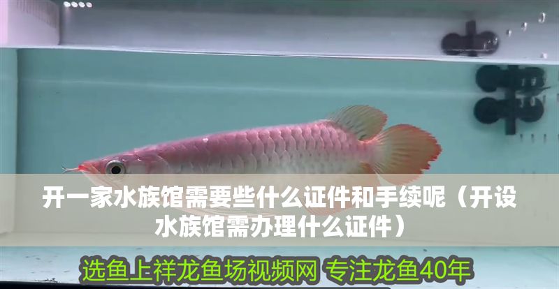 開一家水族館需要些什么證件和手續呢（開設水族館需辦理什么證件）