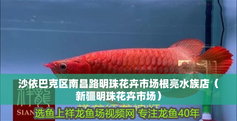 沙依巴克區(qū)南昌路明珠花卉市場(chǎng)根亮水族店（新疆明珠花卉市場(chǎng)）
