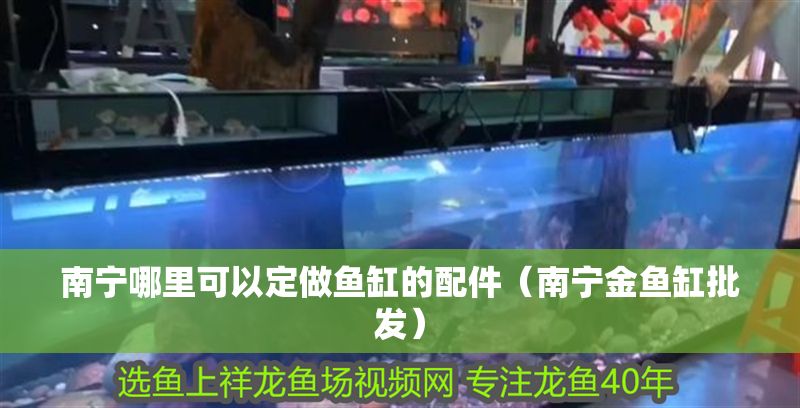 南寧哪里可以定做魚缸的配件（南寧金魚缸批發(fā)）