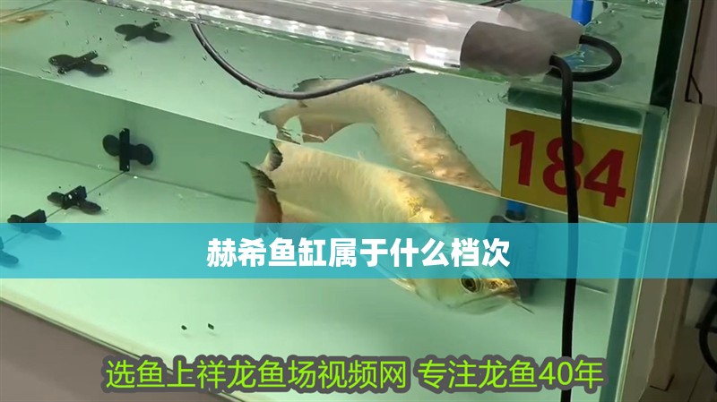 赫希魚缸屬于什么檔次 龍魚百科 第1張 赫希魚缸屬于什么檔次 赫希魚缸屬于什么檔次 龍魚百科 第1張