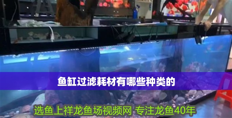魚缸過濾耗材有哪些種類的 魚缸過濾耗材有哪些種類的 觀賞魚百科