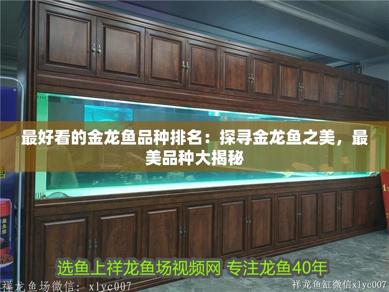 最好看的金龍魚品種排名：探尋金龍魚之美，最美品種大揭秘 最好看的金龍魚品種排名：探尋金龍魚之美，最美品種大揭秘 龍魚百科 第1張