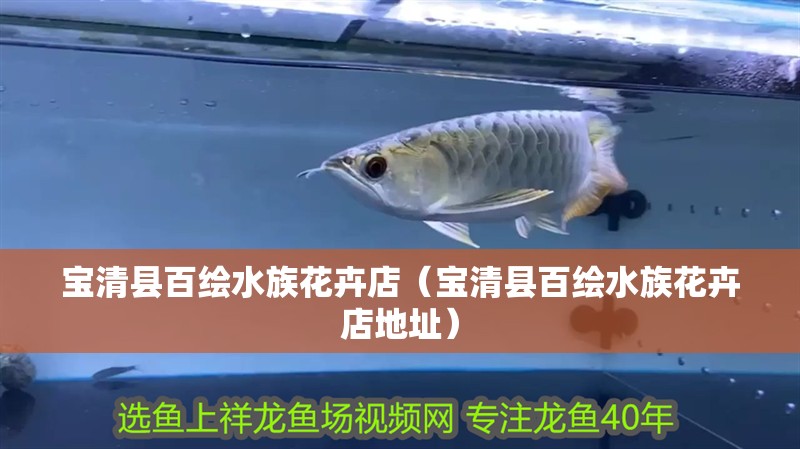 寶清縣百繪水族花卉店（寶清縣百繪水族花卉店地址）