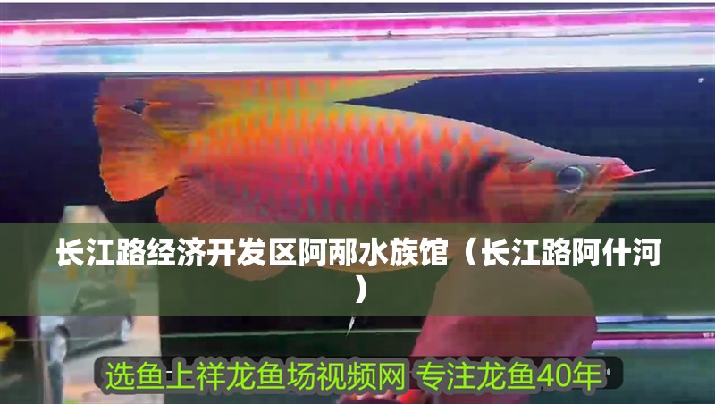 長江路經濟開發區阿邴水族館(長江路阿什河) 全國水族館企業名錄 第1張 長江路經濟開發區阿邴水族館(長江路阿什河) 長江路經濟開發區阿邴水族館(長江路阿什河) 全國水族館企業名錄 第1張