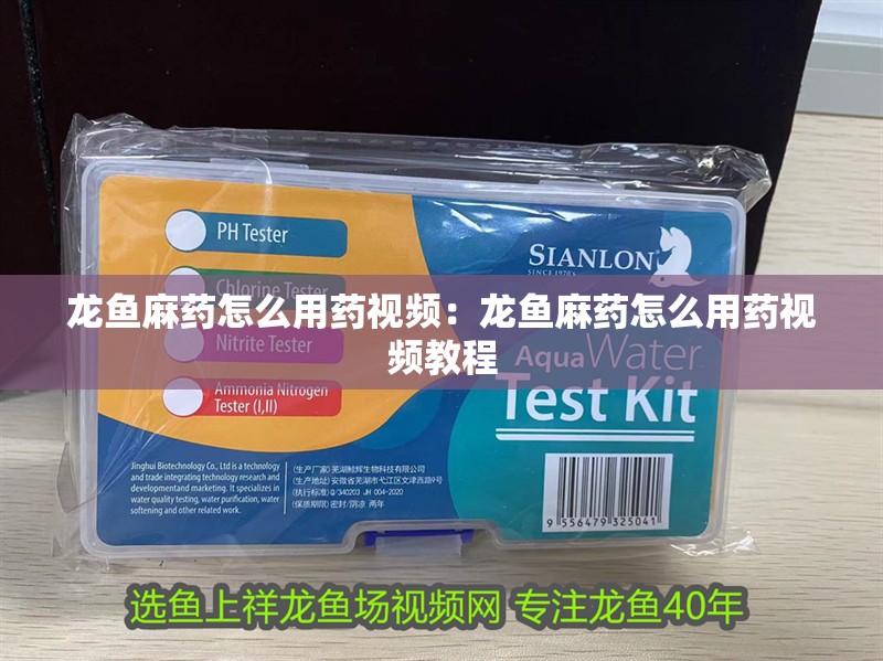 龍魚麻藥怎么用藥視頻：龍魚麻藥怎么用藥視頻教程