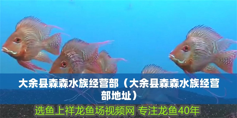 大余縣森森水族經營部（大余縣森森水族經營部地址）