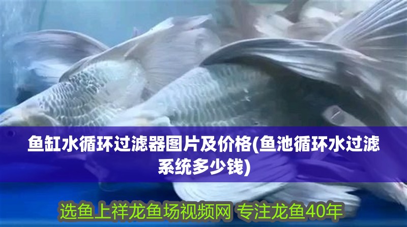 魚缸水循環過濾器圖片及價格(魚池循環水過濾系統多少錢)