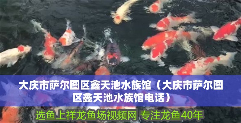 大慶市薩爾圖區(qū)鑫天池水族館（大慶市薩爾圖區(qū)鑫天池水族館電話）