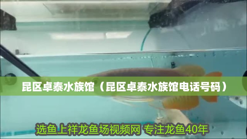 昆區(qū)卓泰水族館（昆區(qū)卓泰水族館電話號碼）