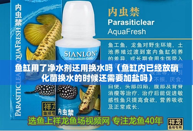 魚缸用了凈水劑還用換水嗎（魚缸內(nèi)已經(jīng)放硝化菌換水的時(shí)候還需要加鹽嗎）