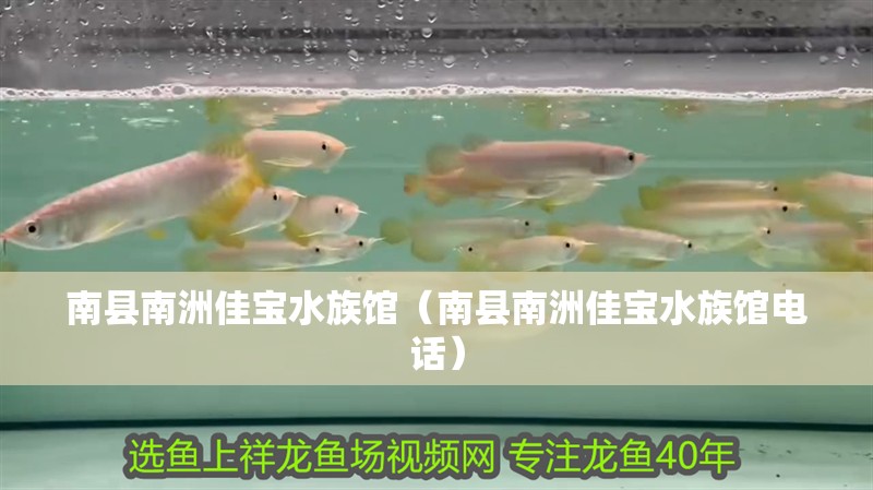 南縣南洲佳寶水族館（南縣南洲佳寶水族館電話）