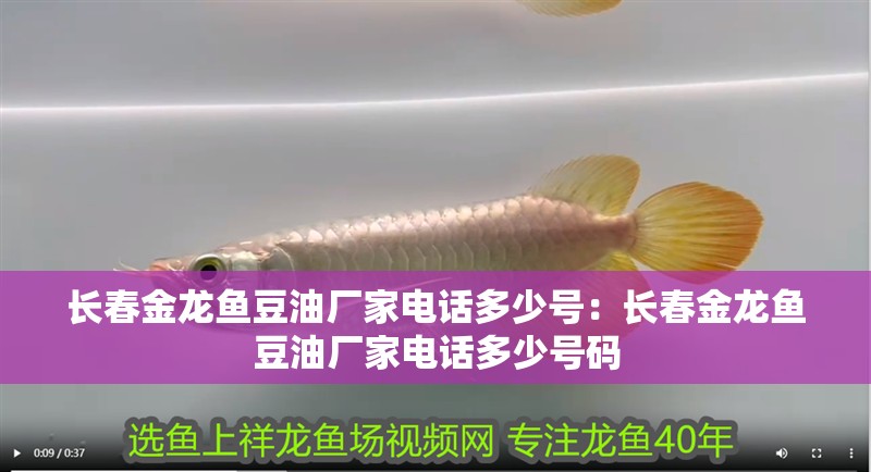 長春金龍魚豆油廠家電話多少號：長春金龍魚豆油廠家電話多少號碼