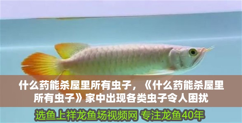 什么藥能殺屋里所有蟲子，《什么藥能殺屋里所有蟲子》家中出現各類蟲子令人困擾 什么藥能殺屋里所有蟲子，《什么藥能殺屋里所有蟲子》家中出現各類蟲子令人困擾 龍魚論壇