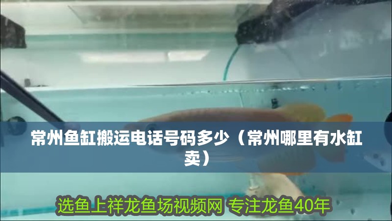 常州魚缸搬運電話號碼多少（常州哪里有水缸賣）