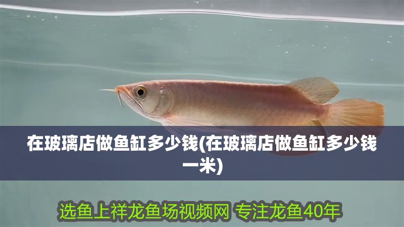 在玻璃店做魚缸多少錢(在玻璃店做魚缸多少錢一米) 錦鯉魚百科 第1張 在玻璃店做魚缸多少錢(在玻璃店做魚缸多少錢一米) 在玻璃店做魚缸多少錢(在玻璃店做魚缸多少錢一米) 錦鯉魚百科 第1張