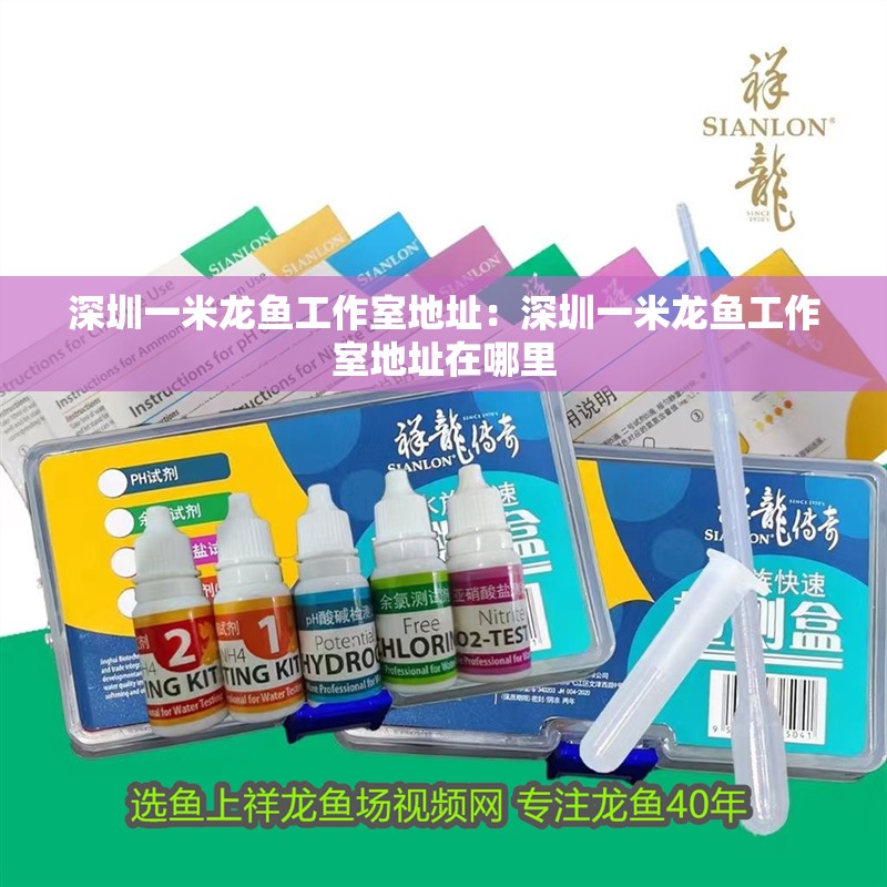 深圳一米龍魚工作室地址：深圳一米龍魚工作室地址在哪里