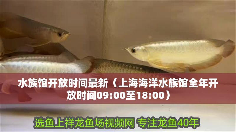 水族館開放時間最新（上海海洋水族館全年開放時間09:00至18:00）