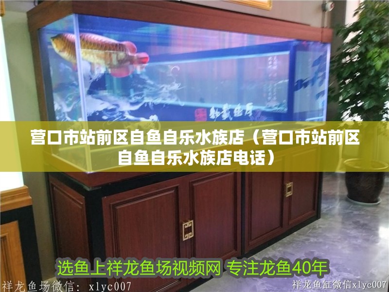 營口市站前區(qū)自魚自樂水族店（營口市站前區(qū)自魚自樂水族店電話）