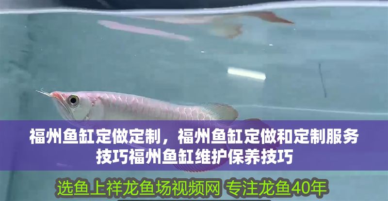 福州魚缸定做定制，福州魚缸定做和定制服務(wù)技巧福州魚缸維護保養(yǎng)技巧 福州魚缸定做定制，福州魚缸定做和定制服務(wù)技巧福州魚缸維護保養(yǎng)技巧 魚缸百科 第1張