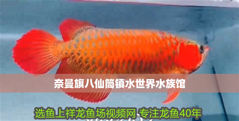 奈曼旗八仙筒鎮(zhèn)水世界水族館