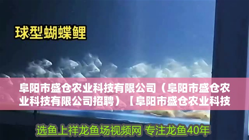阜陽市盛倉農業科技有限公司（阜陽市盛倉農業科技有限公司招聘）【阜陽市盛倉農業科技有限公司】