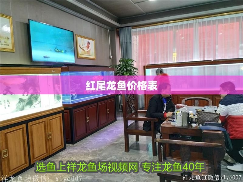紅尾龍魚價格表