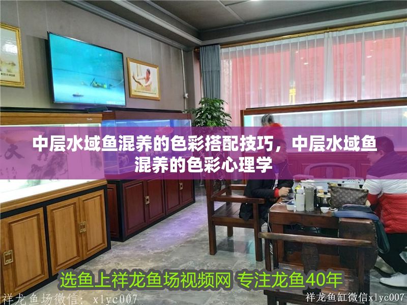 中層水域魚混養(yǎng)的色彩搭配技巧，中層水域魚混養(yǎng)的色彩心理學(xué)