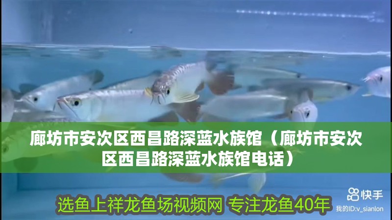 廊坊市安次區西昌路深藍水族館（廊坊市安次區西昌路深藍水族館電話）