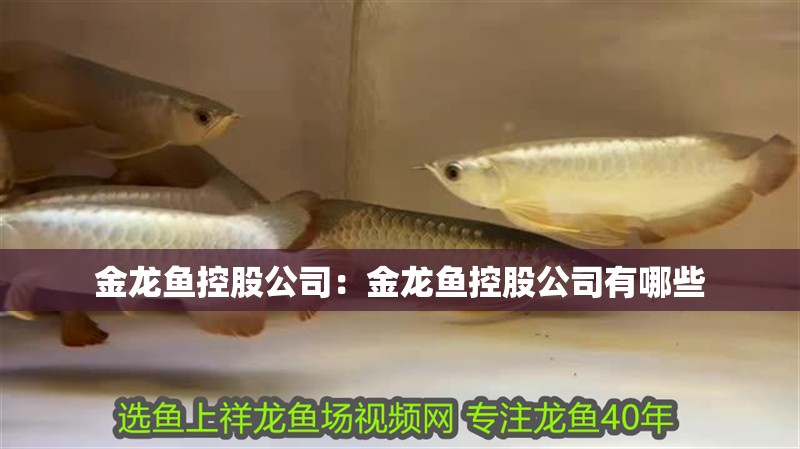 金龍魚控股公司：金龍魚控股公司有哪些