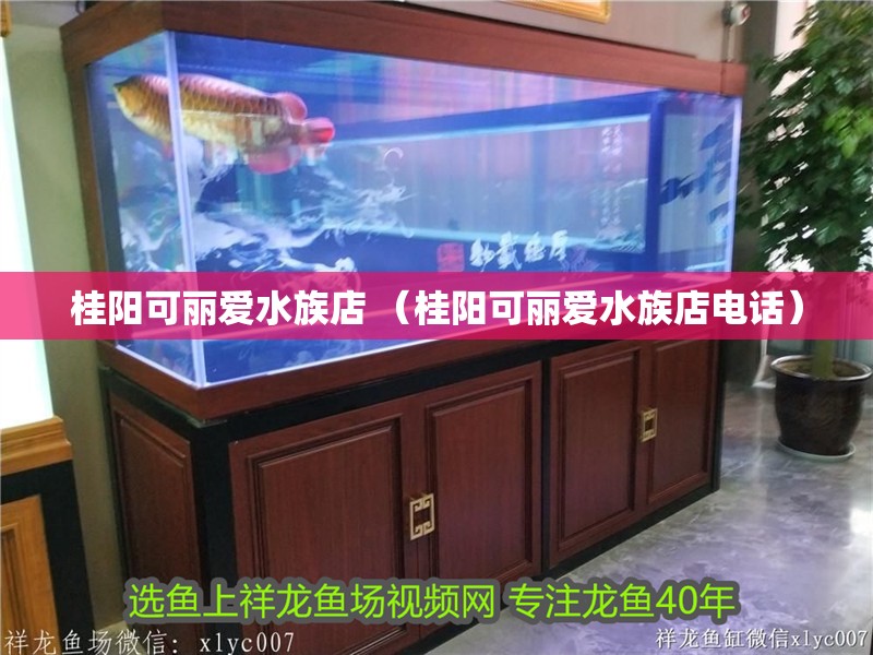 桂陽可麗愛水族店 （桂陽可麗愛水族店電話）
