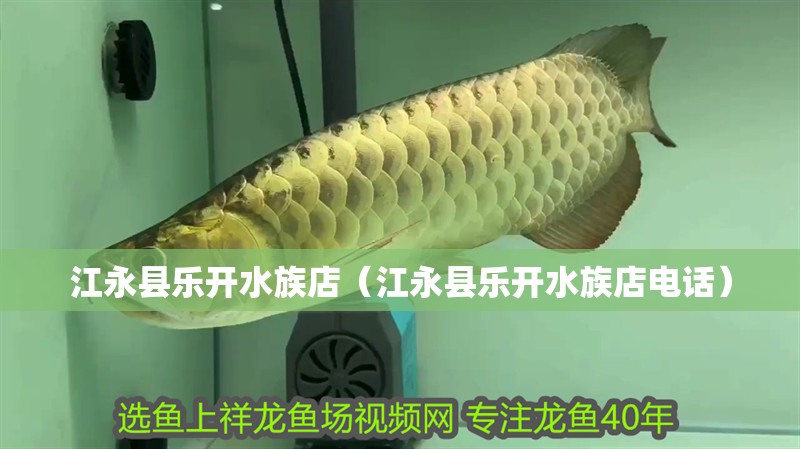 江永縣樂開水族店（江永縣樂開水族店電話）