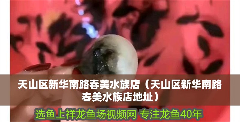 天山區新華南路春美水族店（天山區新華南路春美水族店地址）