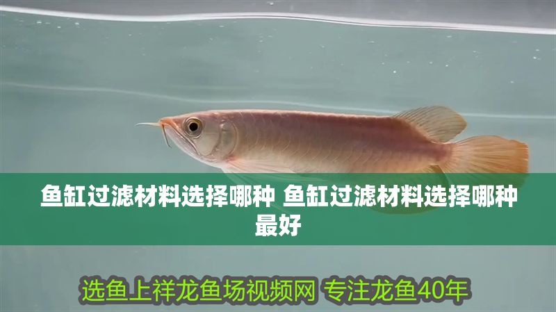 魚缸過濾材料選擇哪種 魚缸過濾材料選擇哪種最好